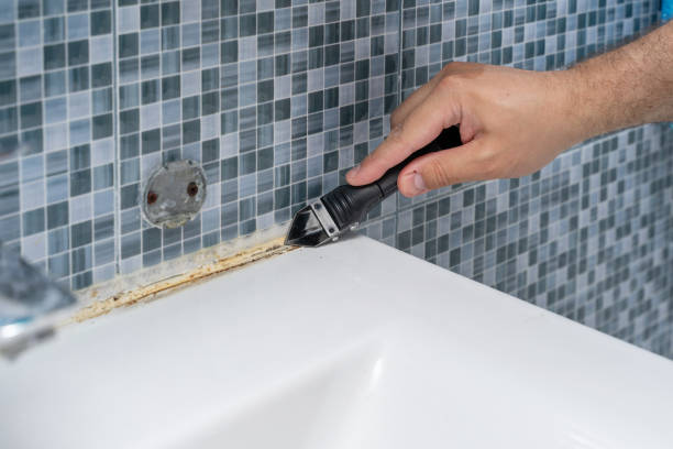 Best Mold Testing and Inspection Services in Ave Maria, FL